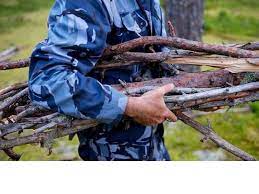 Зоя Бесконечная — Хворост  /АМ/