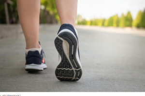 Когда лучше выходить на прогулку — до еды или после