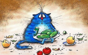 Синие коты – любимцы публики