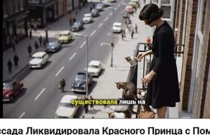 Женщина из Моссада. Бейрут, 1979  Видео