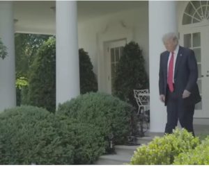 Трамп замешан?  Видео