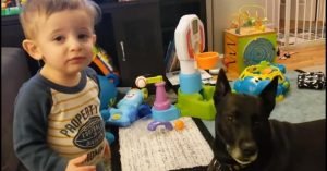 Мама записала на видео диалог сына с собакой  Видео