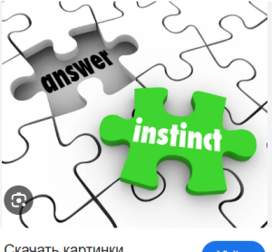 Инстинкт против логики