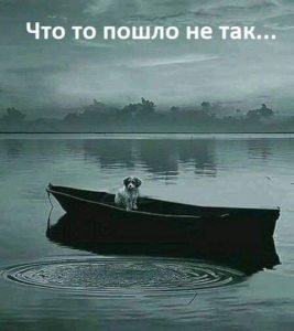 Я обязан книгам У нас страна великой культуры и фигурного катания , у нас  /АМ/