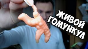 Гомункул на марше  Видео