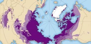 Есть ли живые существа, способные жить при отрицательной температуре тела?