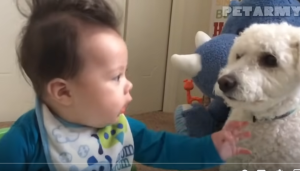 Младенцы и домашние животные невероятно милы вместе!  Видео