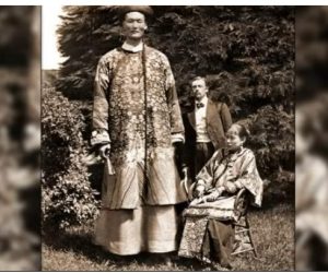 Куда исчезла раса гигантов?  Видео