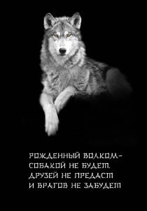 А вы знали, что ВОЛК…