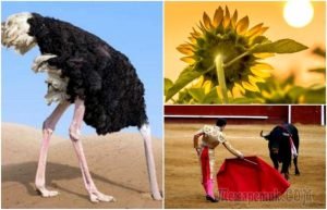 8 мифов, которые были опровергнуты, но по-прежнему бытуют в обществе