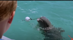 Мой друг дельфин Эхо /Dolphin Kick/ Фильм детям