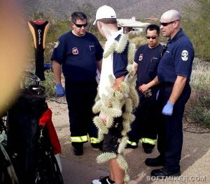 Растения, от которых стоит держаться подальше…