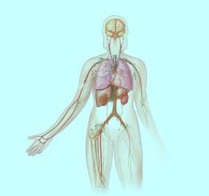 Как убрать лишнюю воду и килограммы из организма