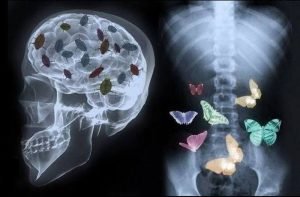 Юл Иванчей — Второй мозг в животе?