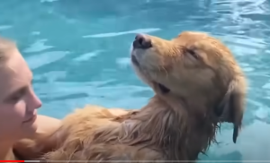 Такого Никто не Ожидал! Случаи на Пляжах Снятые на Камеру  Видео