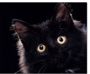 Откуда у суеверий ноги растут?