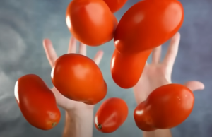 ПОЧЕМУ Об ЭТОМ МОЛЧАТ! Вот Что ТВОРИТ 1 ПОМИДОР с организмом.