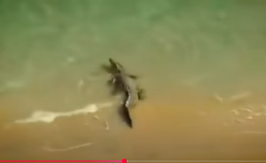 МОРЕ ДЬЯВОЛА!!!! Загадки Филиппинского Моря!!!  Видео