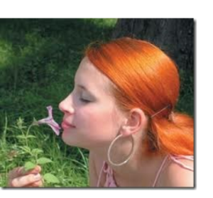 10 фактов о запахах