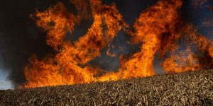 Ад на земле: Россия творит в Украине экологическую катастрофу, первые данные ужасают