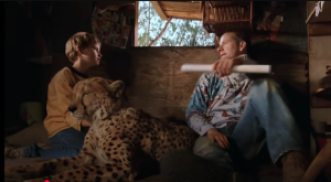 Африканское приключение с диким другом  Видео