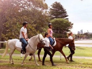 Животные, которые могут исцелить от болезней