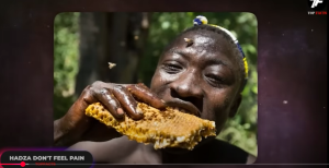 Ученые В ТУПИКЕ! Аномальное ПЛЕМЯ Нарушающее Все Законы Физики  Видео