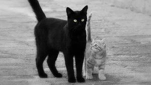 ПАПОЧКА — Олег Бондаренко