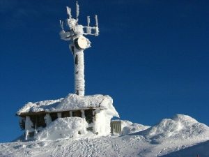 Разные любопытные факты, которые пополнят копилку знаний