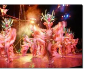 Сколько стоят "звёзды" на новый год?