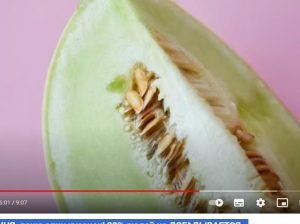 Что Творит ДЫНЯ, даже один кусочек! 99% людей не ДОГАДЫВАЕТСЯ…  Видео