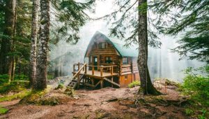 Богатый отец хотел показать сыну, как живут бедные люди, а вместо этого сам получил урок