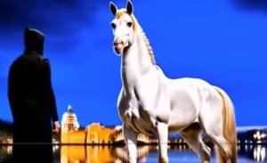 GOOD TALENT  Видео