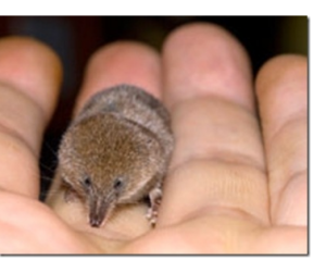 Самые большие и самые маленькие…