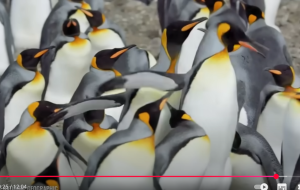 Новые тайны Антарктиды раскрыты — у тебя просто пропадёт дар речи!  Видео