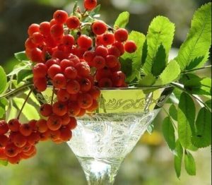 Возраст — это когда похуже со здоровьем, но получше со свободой…