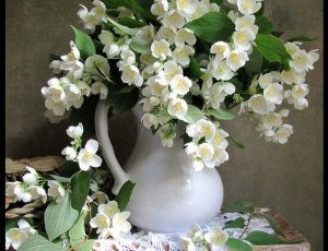 Лена в неярком свете увидела мужчину