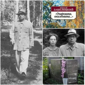 История создания стихотворения и знаменитого шлягера  Видео