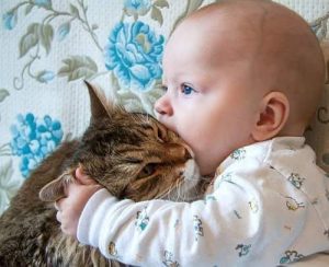 МАЛЫШ И КОТ