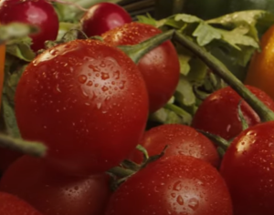 Многие едят ПОМИДОРЫ, но 90% даже не подозревают о том, ЧТО ТВОРИТ ПОМИДОРЫ С НАШИМИ ОРГАНИЗМОМ…..  Видео