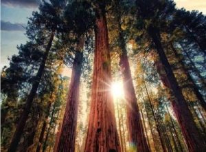 Почему в мире так много зла: а вы знали?