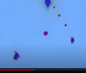 ОФИЦЕРЫ И ГЕНЕРАЛЫ СЛИЛИ ДОПРОС ПРИШЕЛЬЦА!!!  Видео