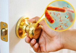 12 главных рассадников бактерий в вашем доме