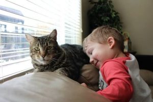 20 примеров того, что ничто человеческое животным не чуждо