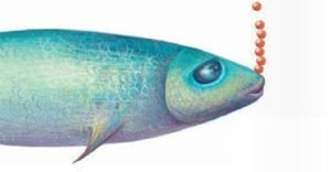 Андрей Макаревич: «Сказка о сардинке Лиде»