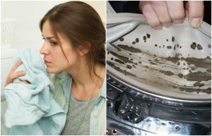 Почему вещи после стирки пахнут сыростью: 5 причин и способы решения проблемы