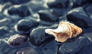 Притча о вечном поиске и его последствиях