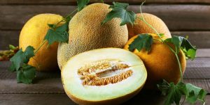 Открытие израильского ученого может решить проблему голода во всем мире