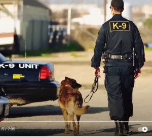 Собака громко лаяла на гpoб хозяина. Открыв его, люди закричали от yжaca!  Видео