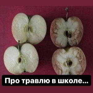 Одна учительница решила поделиться своим опытом донесения до учеников…